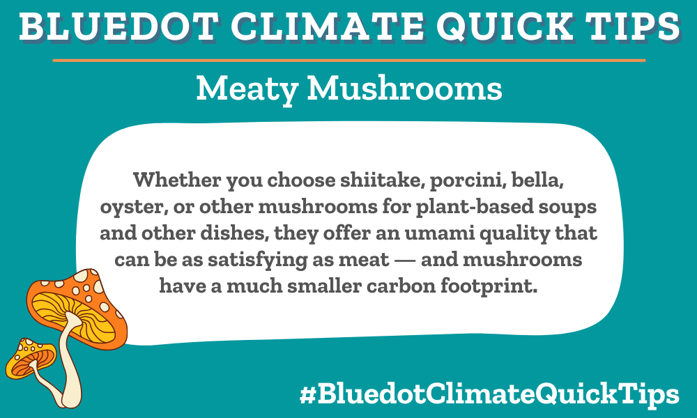 Whether you choose shiitake, porcini, bella, oyster, or other mushrooms for plant-based soups and other dishes, they offer an umami quality that can be as satisfying as meat — and mushrooms have a much smaller carbon footprint. Add mushrooms to a stir-fry, soup, tart, and more.