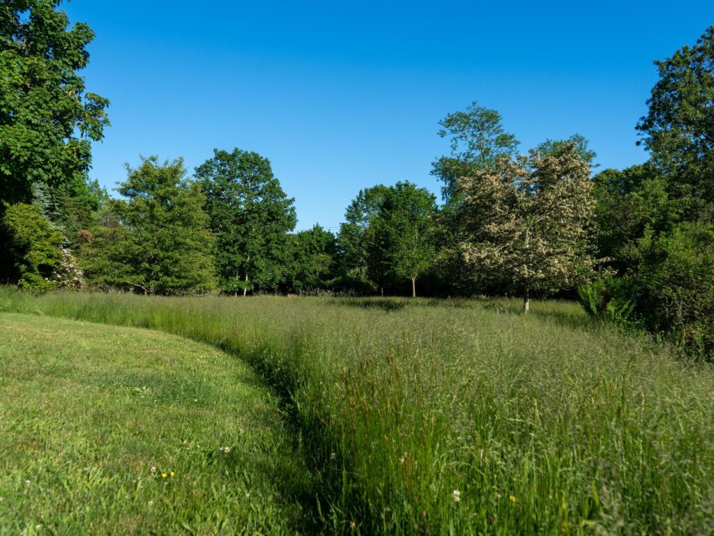 green fields on Martha's Vineyard