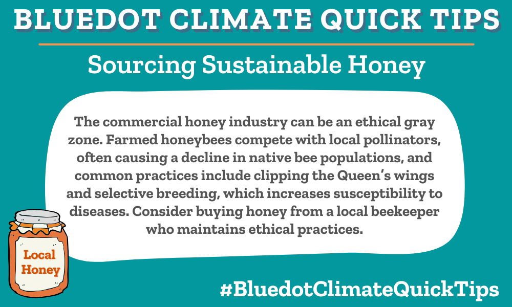 The commercial honey industry can be an ethical gray zone. Farmed honeybees compete with local pollinators, often causing a decline in native bee populations, and common practices include clipping the Queen’s wings and selective breeding, which increases susceptibility to diseases. Consider buying honey from a local beekeeper who maintains ethical practices. Local honey is the most sustainable choice. Check out these amazing beekeepers in San Diego, Boston, and Martha’s Vineyard.