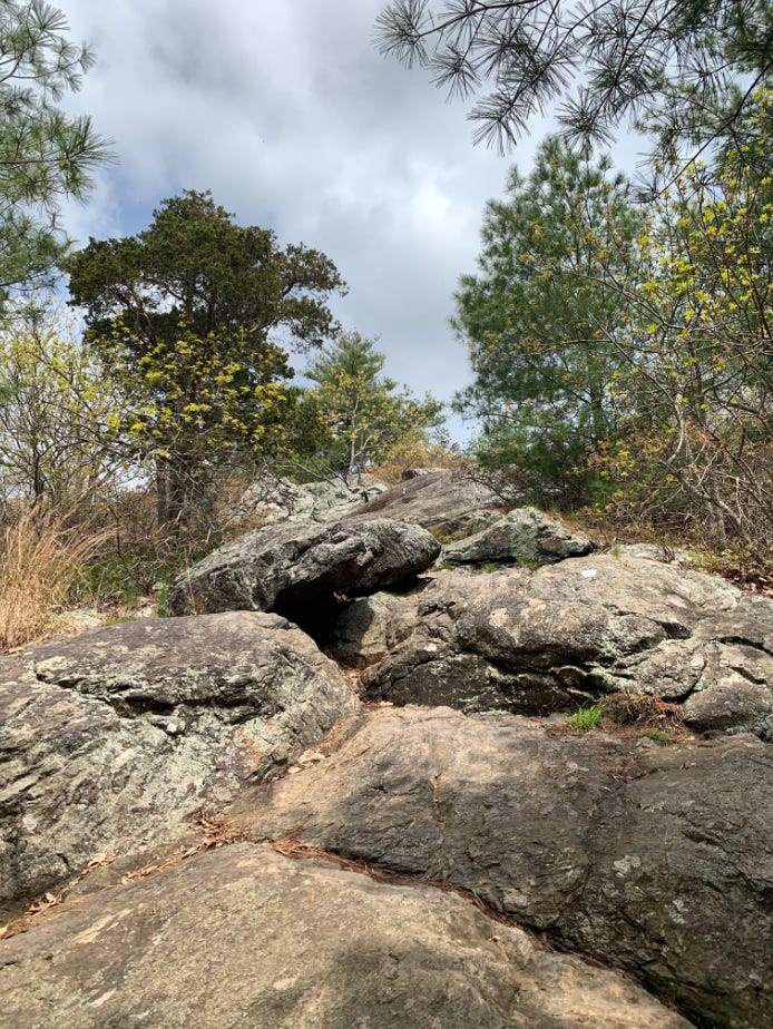 blue hills trail rocky path