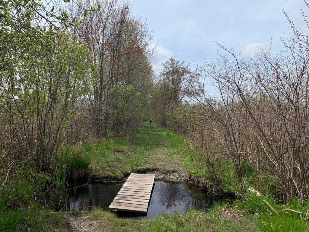 a bridge on the burma road trailhead