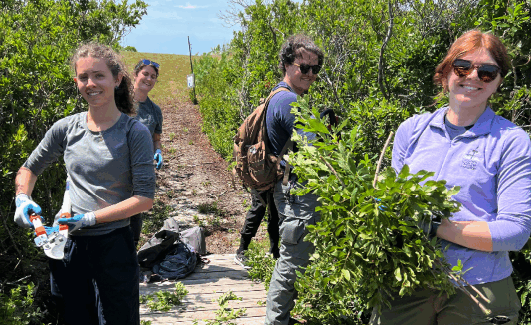 young people cleaning up trails