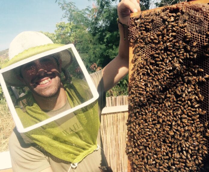 Garnett Puett holds a colony of bees