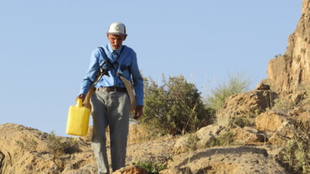 an older man walking through the iranian forest to plan trees