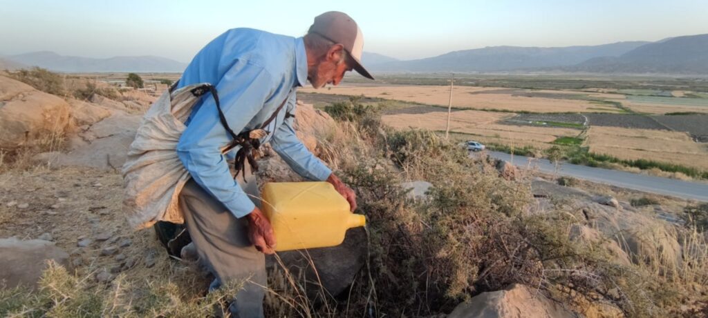 an older man waters his plants in the Iranian forest