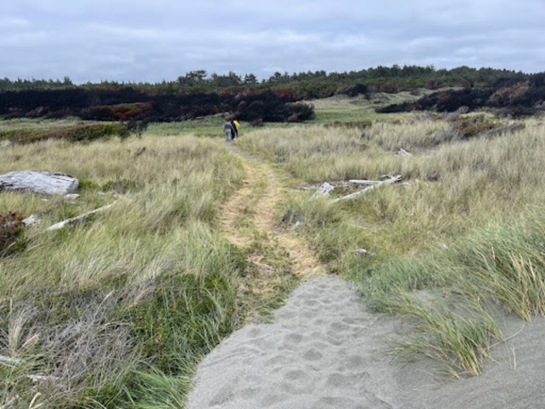 a hiking trail on a cloudy day