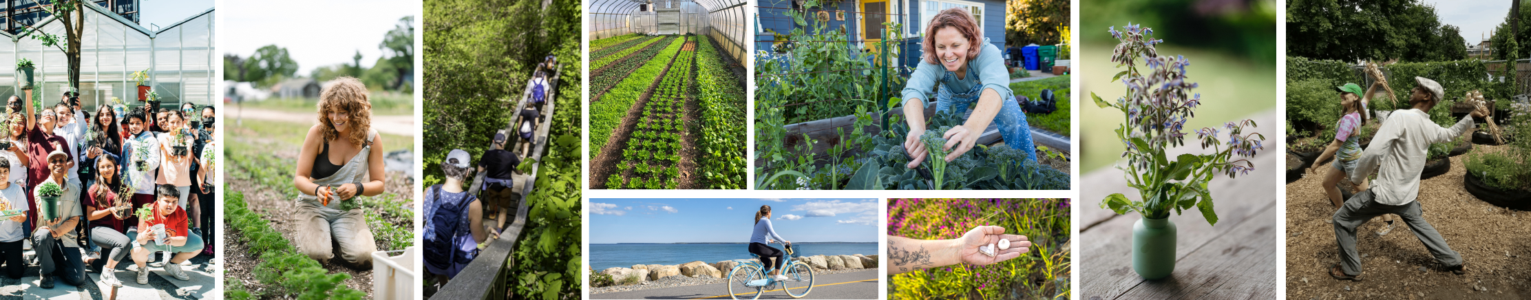 Email_PeopleAndPlaces_BannerLong