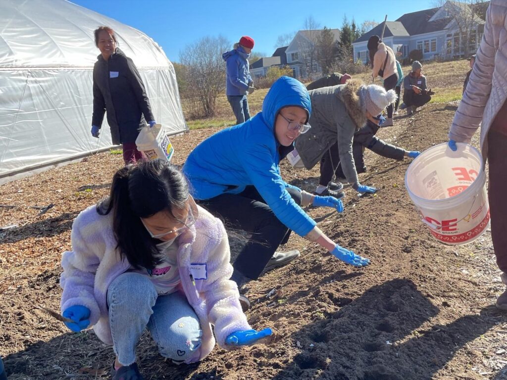 khmer maine crew plants seeds