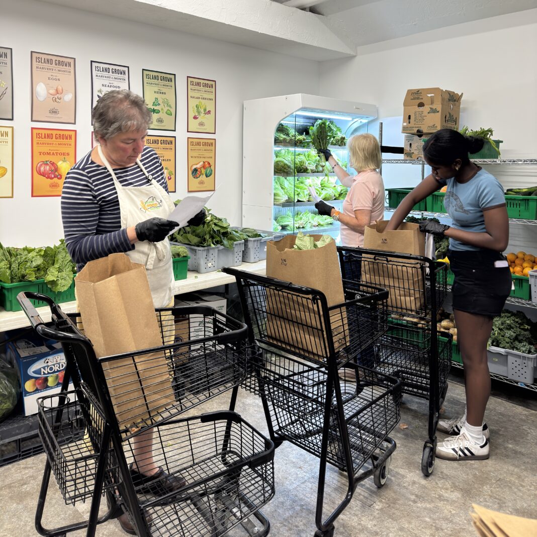 IGI volunteers packing pre-ordered groceries for clients