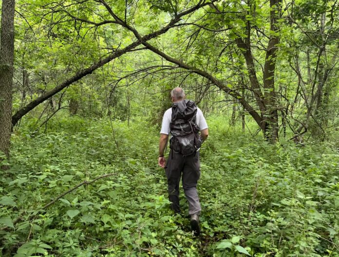 hiking in the chicago forest
