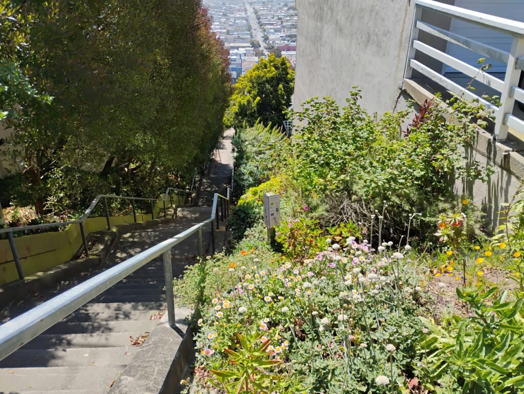 san francisco stairs surrounded by butterfly gardens