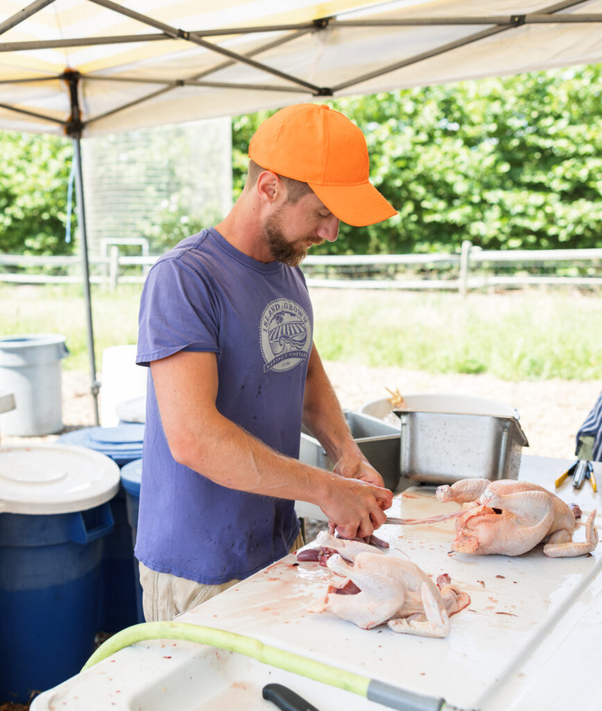 taz armstrong cutting chicken