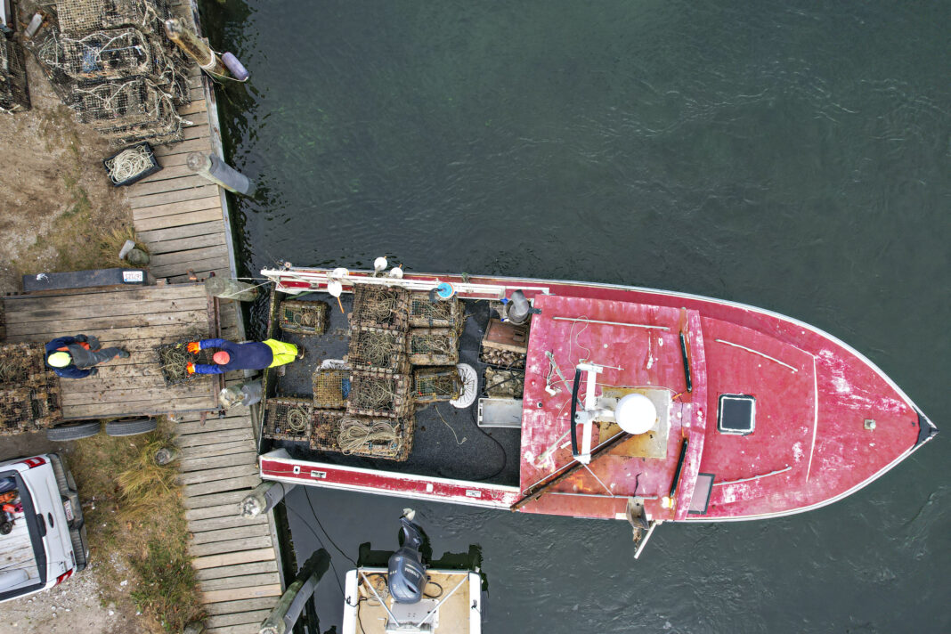 fishermen unload at Menemsha