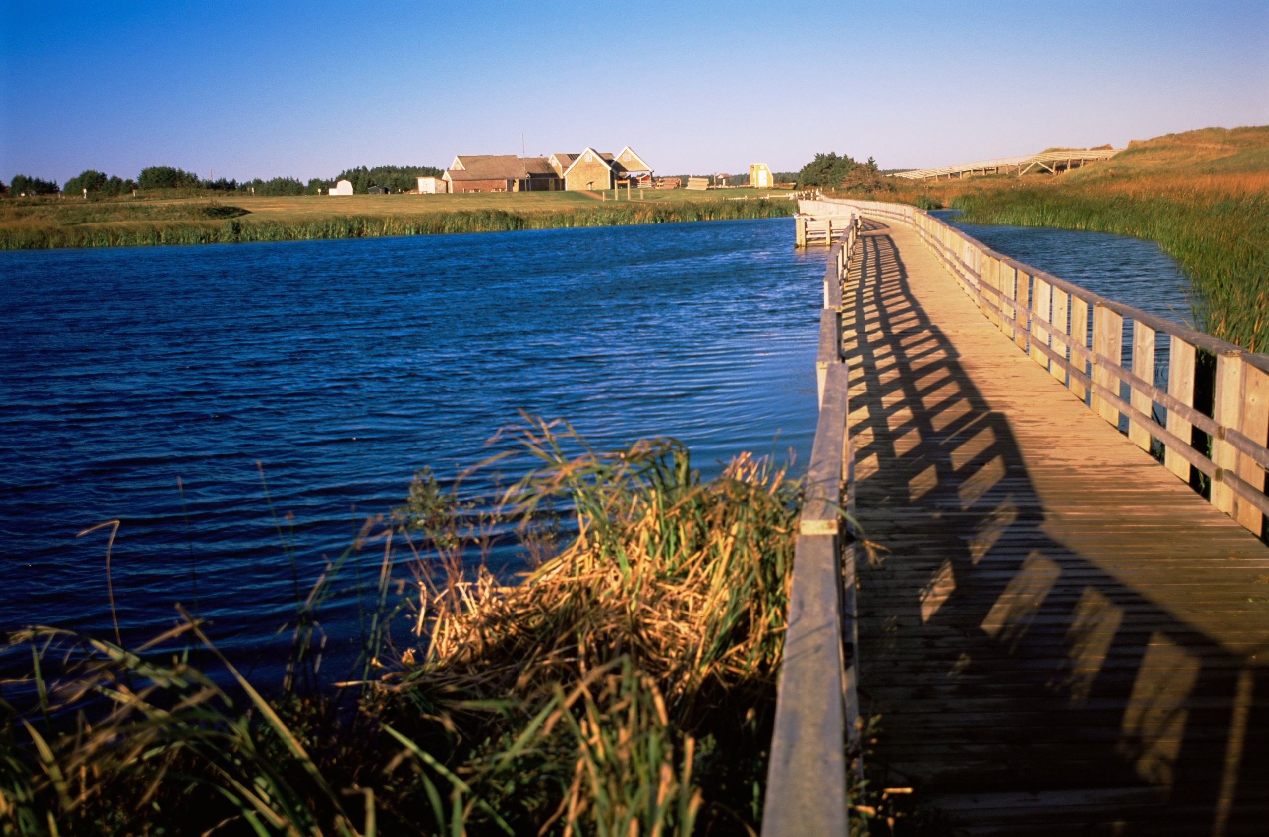 Cavendish,National,Park,,Prince,Edward,Island,,Canada,,North,America A footbridge in Cavendish National Park