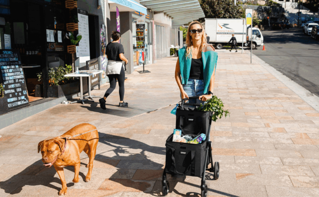 a woman walking down the street with a cart of groceries and a dog
