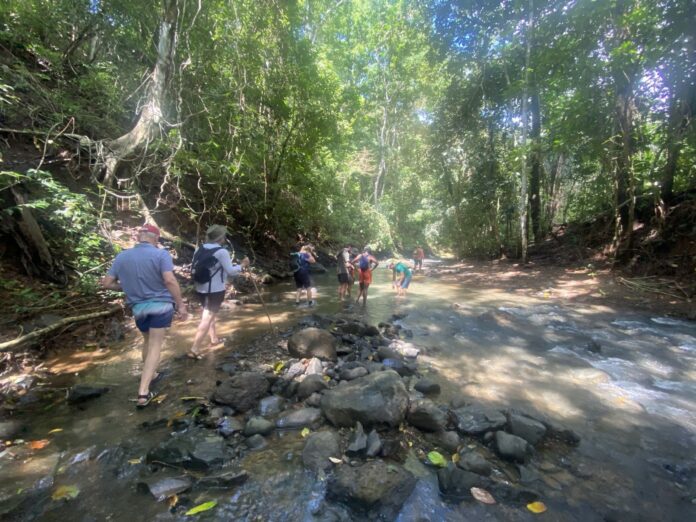 a group of people hiking along a stream to a waterfall