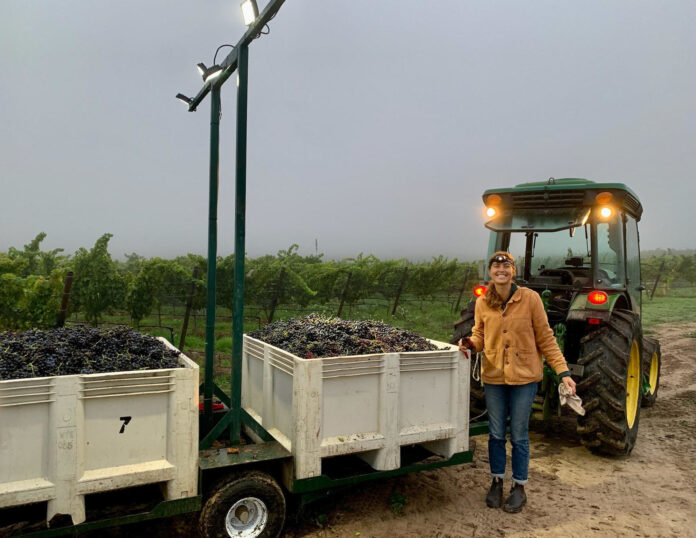 a woman standing next to harvested grapes and in front of a tractor