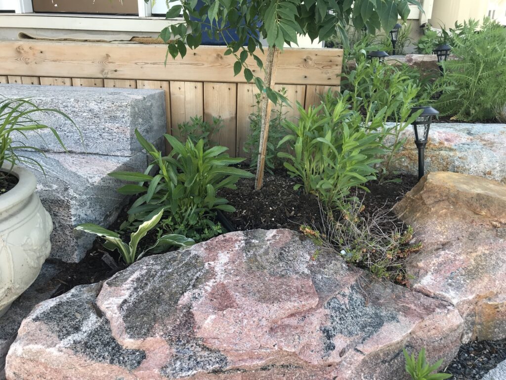 green spaces in a home