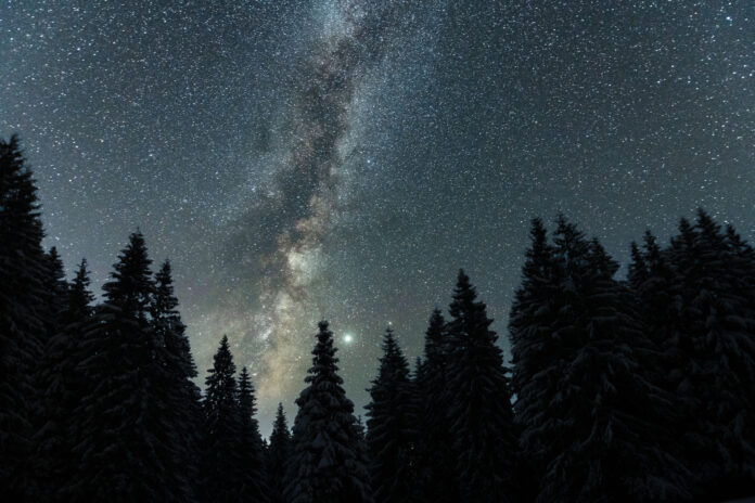Dramatic wintry scene with snowy trees and milky way in night sky.