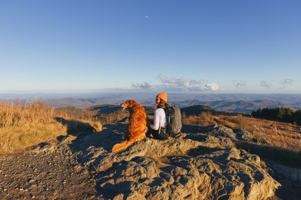 a woman and her dog take a seat on a rock during a hike