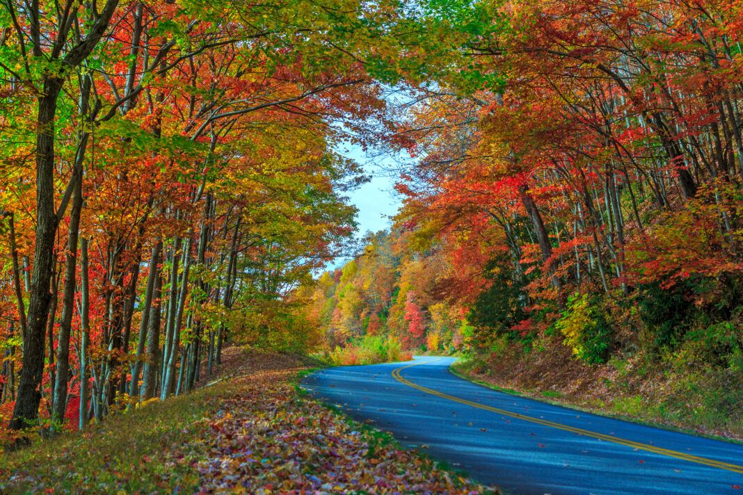 the Blue Ridge Parkway in the fall