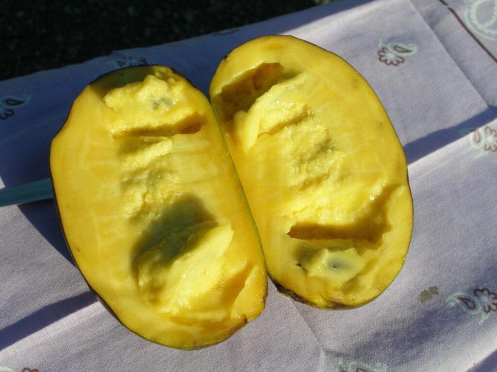 a pawpaw cut open