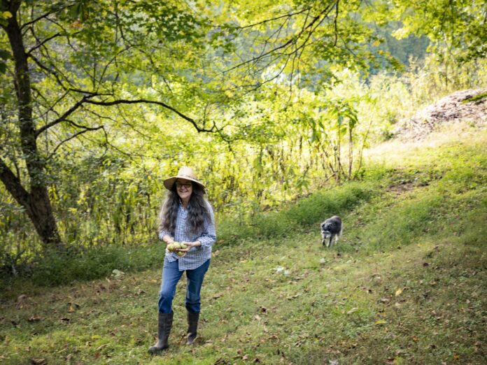 susan owens in her orchard holding pawpaws