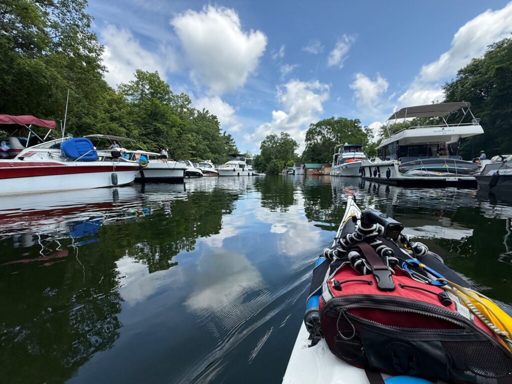 docked boats