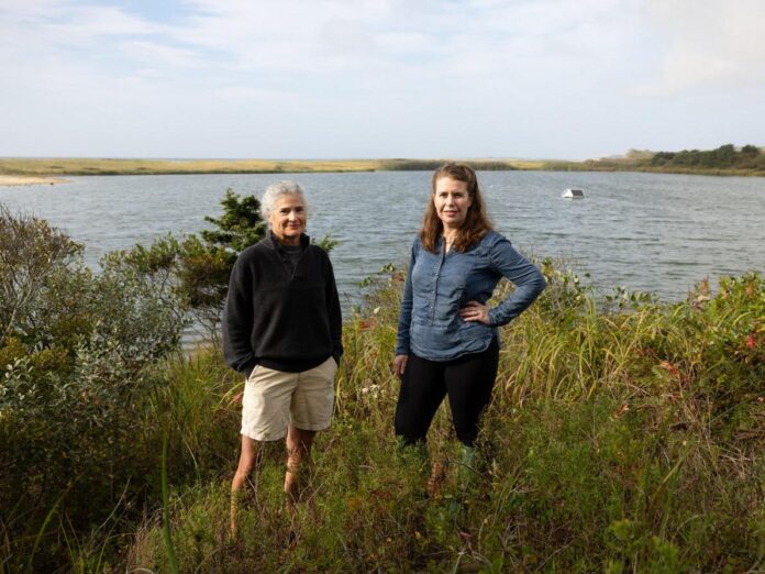 two people standing in front of chilmark pond