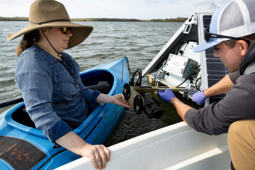 a man and woman serving the sonic buoy in the lake