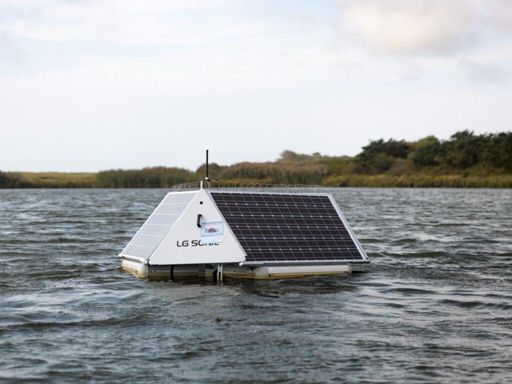 sonic buoy in chilmark pond
