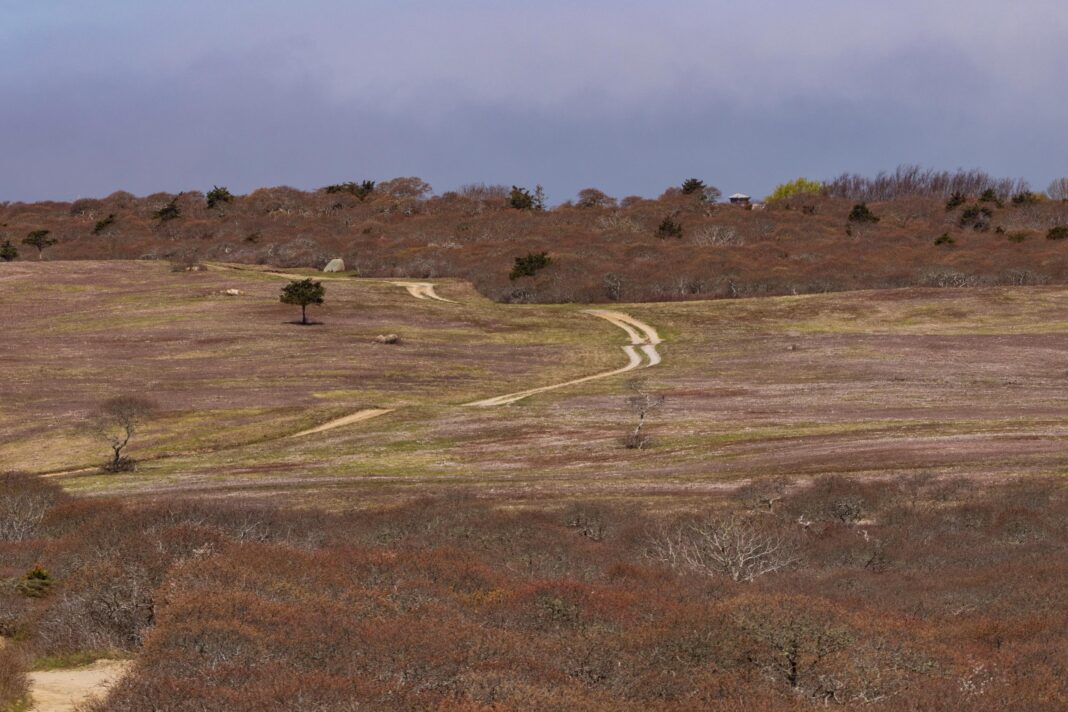 middle moors, toward Altar Rock