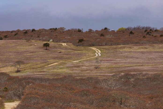 middle moors, toward Altar Rock