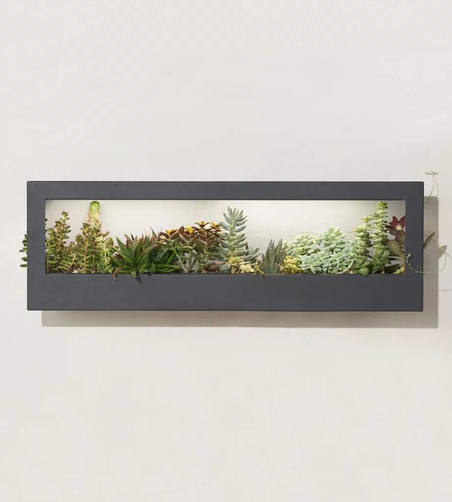 Smart Landscape Growframe