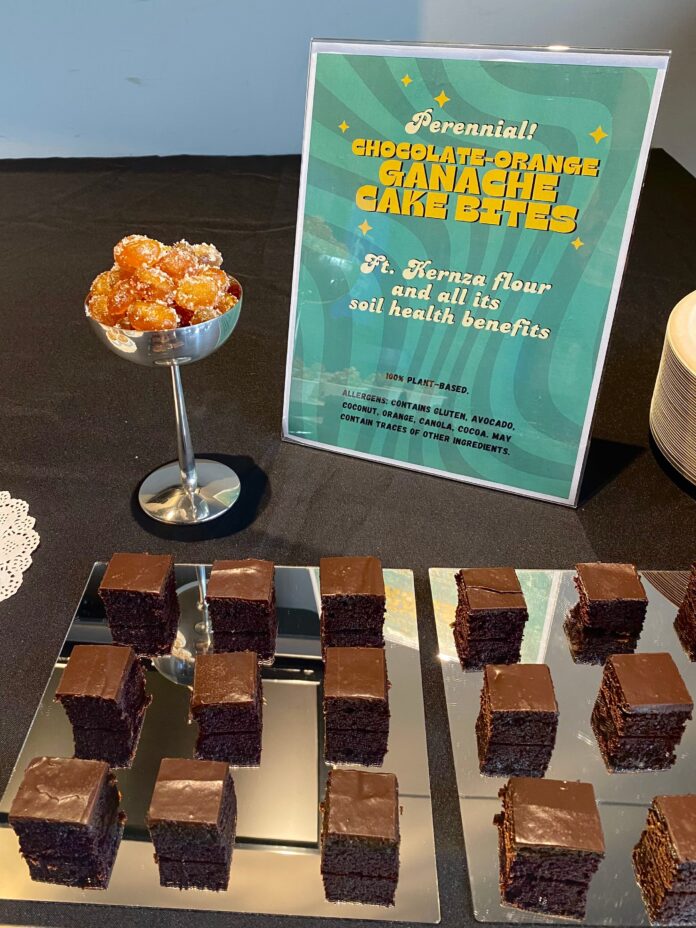 vegan chocolate orange ganache cake bites served on a tray for an event