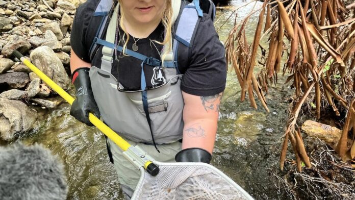 a woman catching brook trout