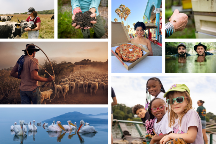 a collection of photos posted on Bluedot Living in 2025