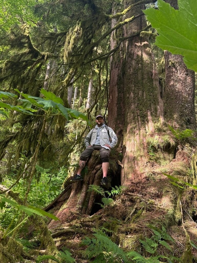 a man sitting on a tree