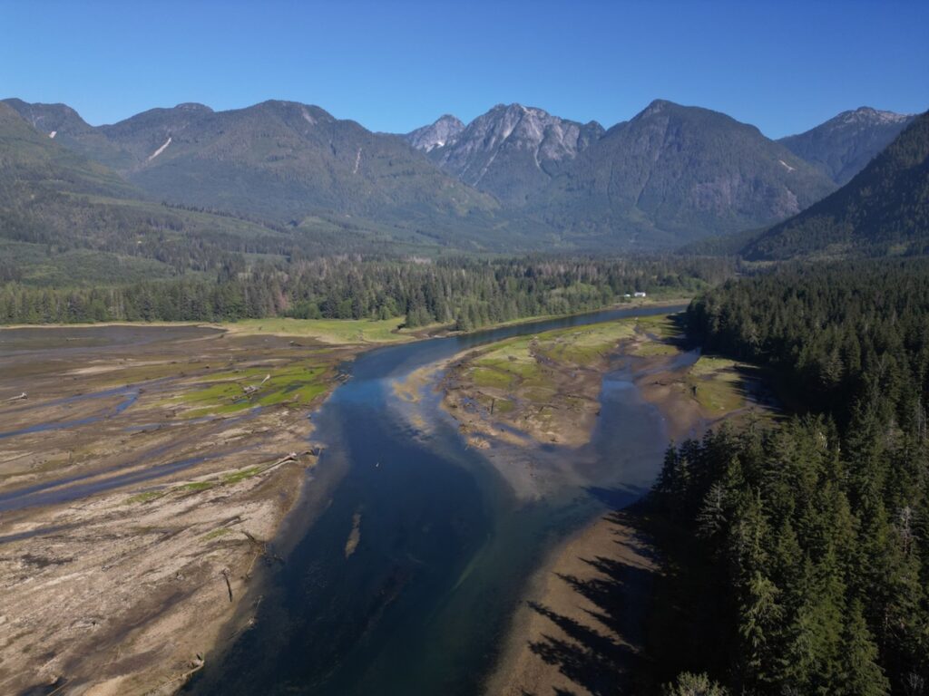 an aerial image of Phillips Estuary