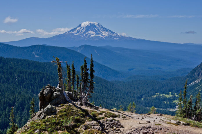 Washington State’s Gifford Pinchot National Forest