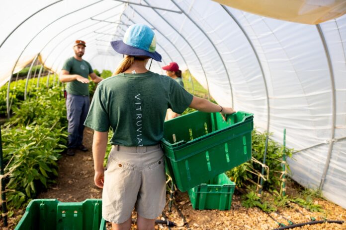 volunteers for vitruvian farms