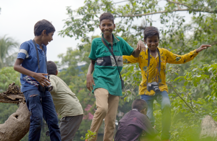 three boys with cameras taking photos of wildlife