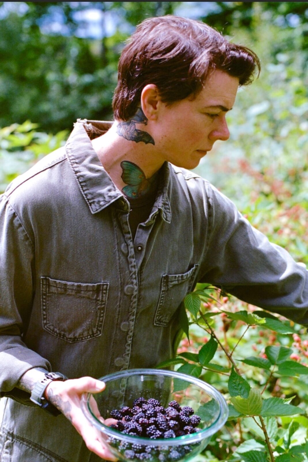 lane regan picking blueberries