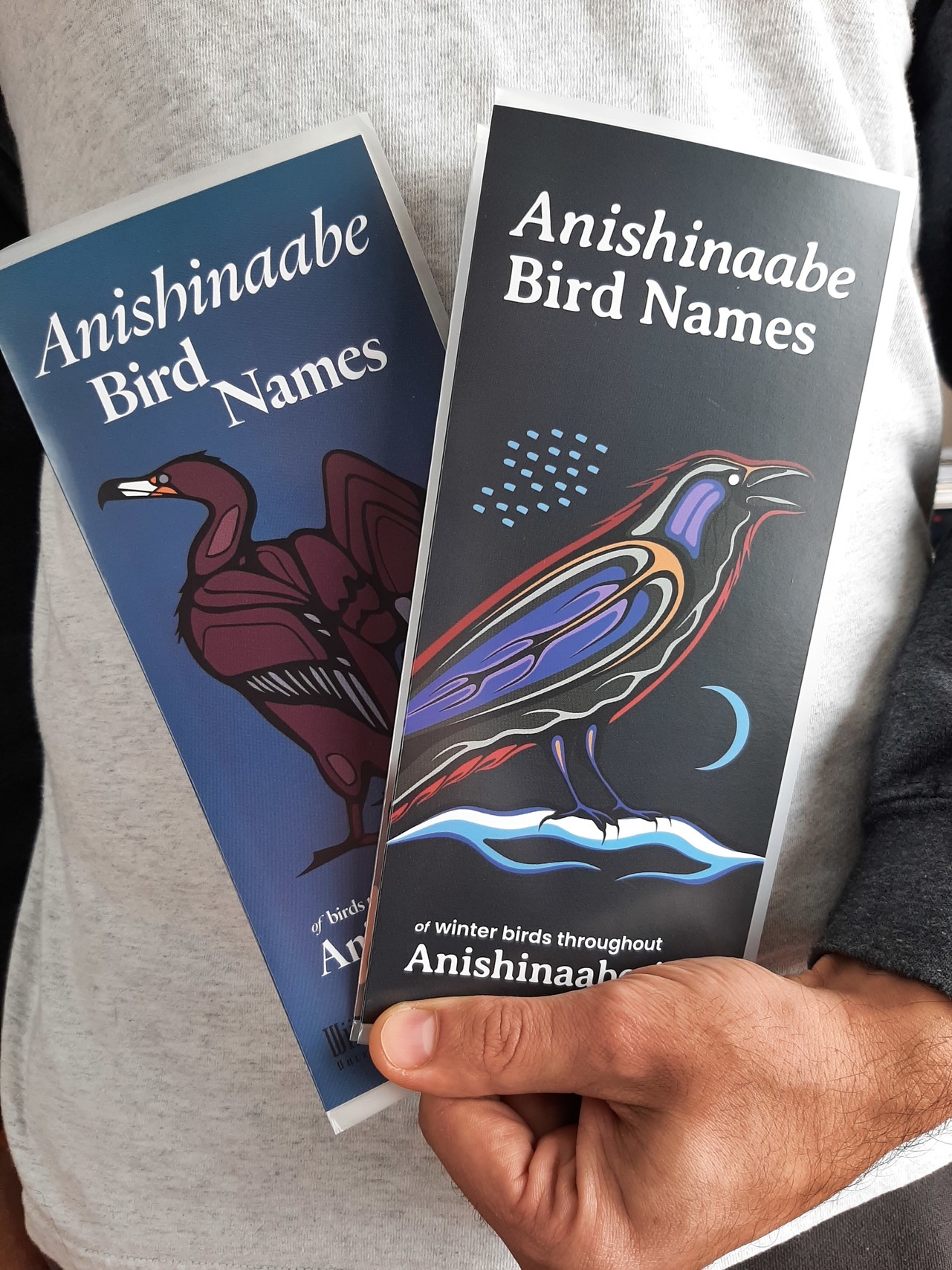 Birder’s Guide to Anishinaabe Bird Names - Bluedot Living
