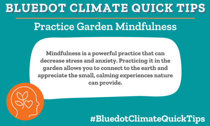 Climate Quick Tip: Mindfulness is a powerful practice that can decrease stress and anxiety. Practicing it in the garden allows you to connect to the earth and appreciate the small, calming experiences nature can provide. Connect to all your senses and engage with nature with this garden mindfulness exercise.