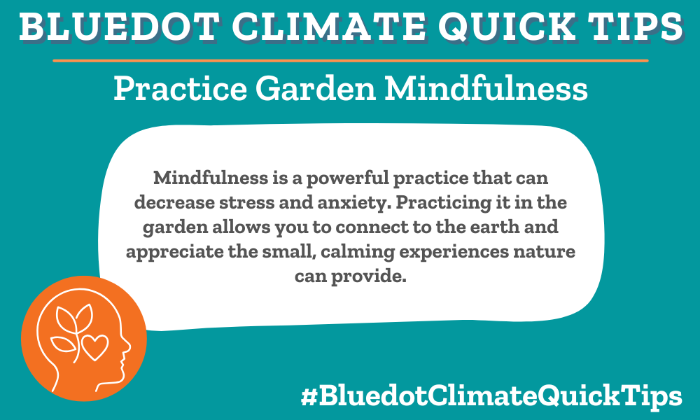 Climate Quick Tip: Mindfulness is a powerful practice that can decrease stress and anxiety. Practicing it in the garden allows you to connect to the earth and appreciate the small, calming experiences nature can provide. Connect to all your senses and engage with nature with this garden mindfulness exercise.