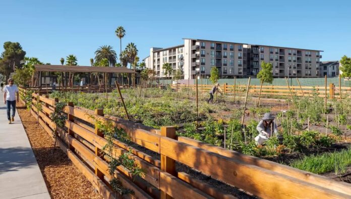 multiple people working in a community garden near their houses