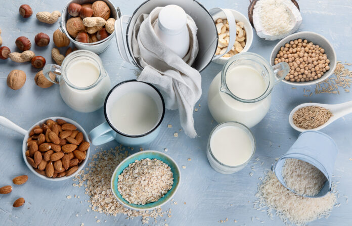 various vegan plant-based milk ingredients