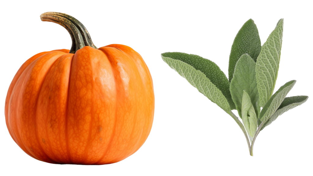 pumpkin and sage