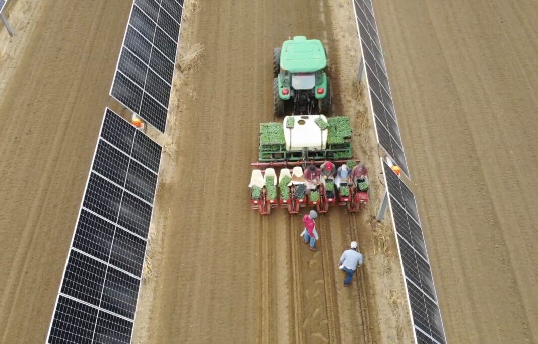 Solar panels on Joe's farm